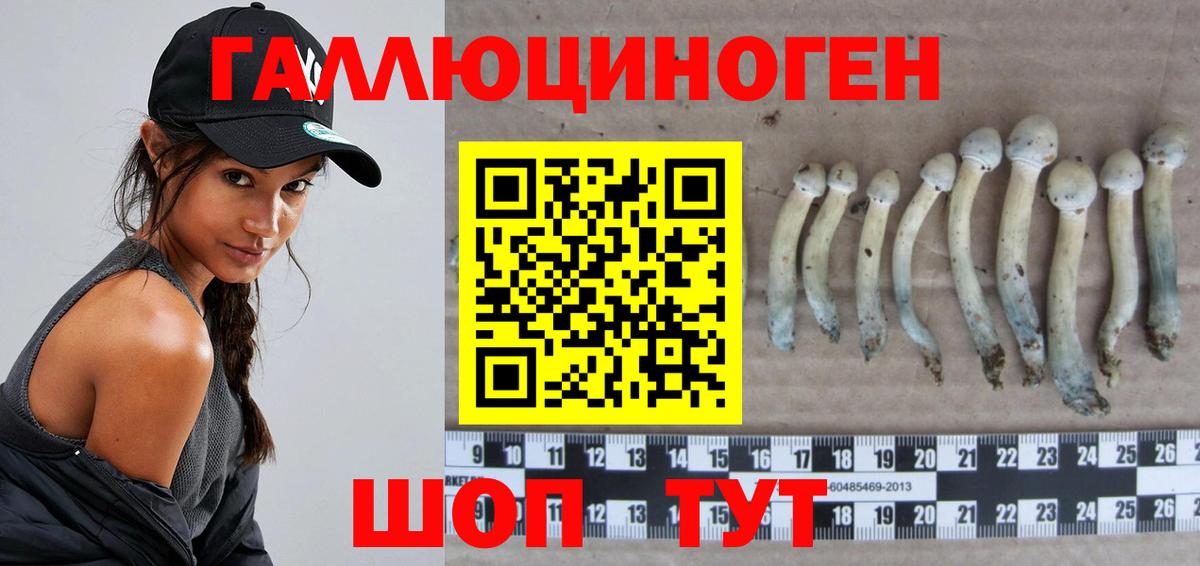 Псилоцибиновые грибы Psilocybine cubensis Белогорск